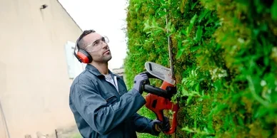 Commercial Grounds Maintenance