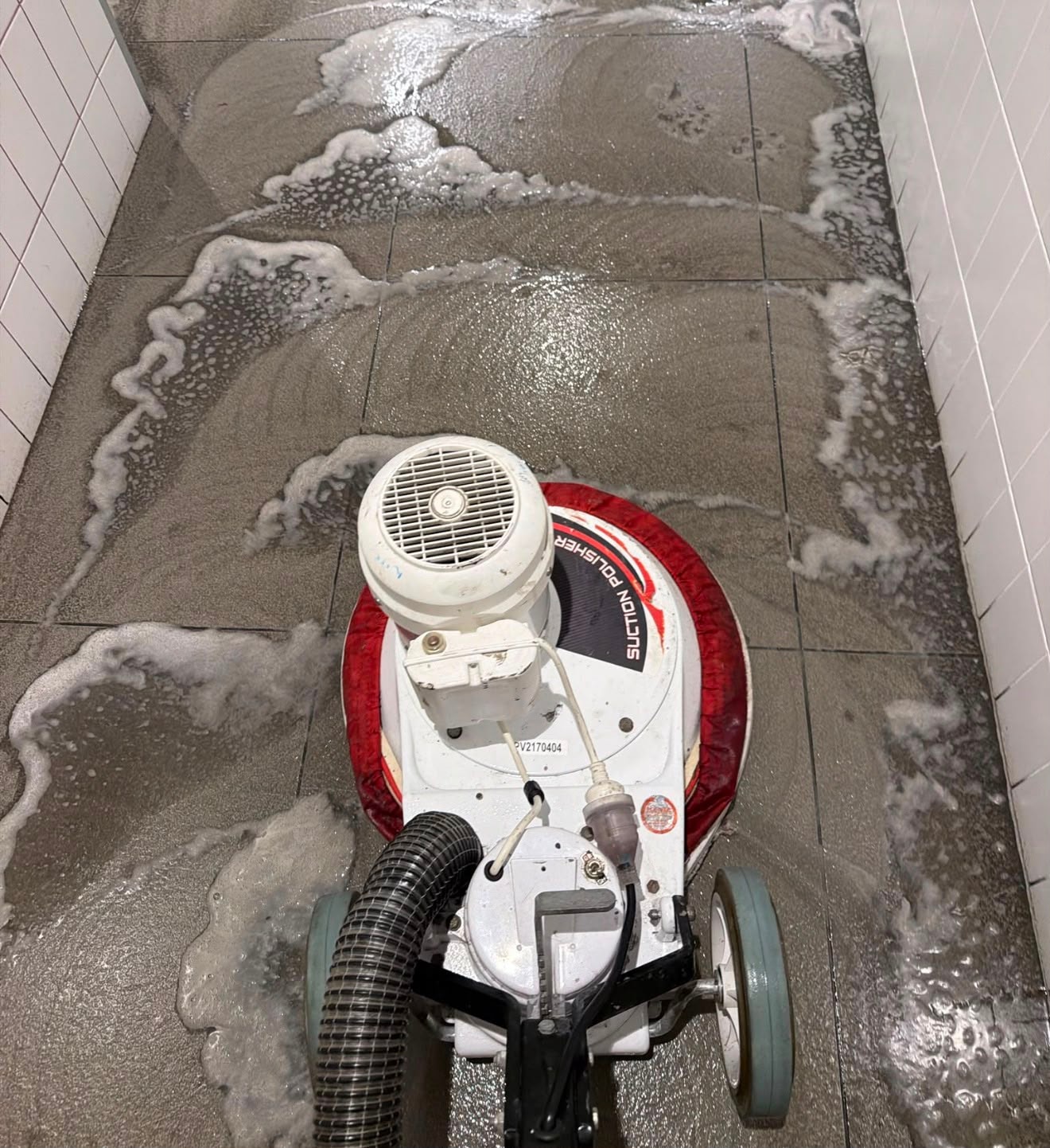 Floor Care & Maintenance